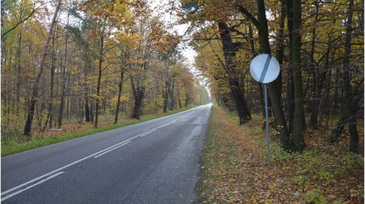 Czy przedstawiony znak odwołuje zakaz wyrażony znakiem B-35 „zakaz postoju”?