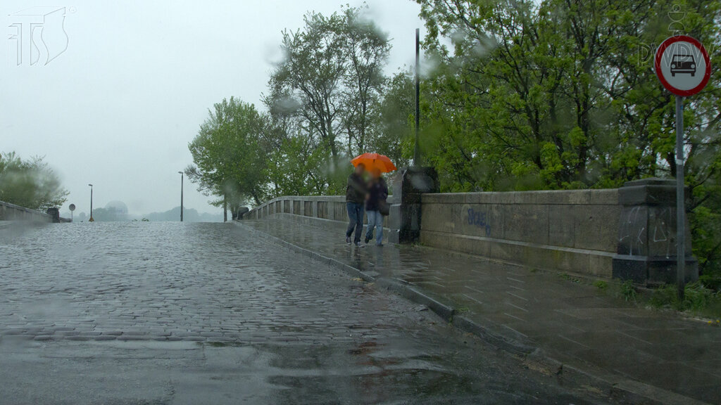 Czy osoba niepełnosprawna kierująca samochodem osobowym, legitymująca się kartą parkingową, może nie stosować się do widocznego znaku zakazu?