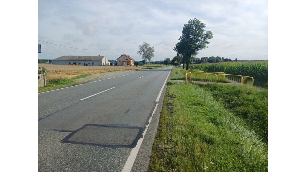 Czy kierujący pojazdem zbliżając się do przejścia sugerowanego jest o tym informowany odpowiednimi znakami drogowymi?