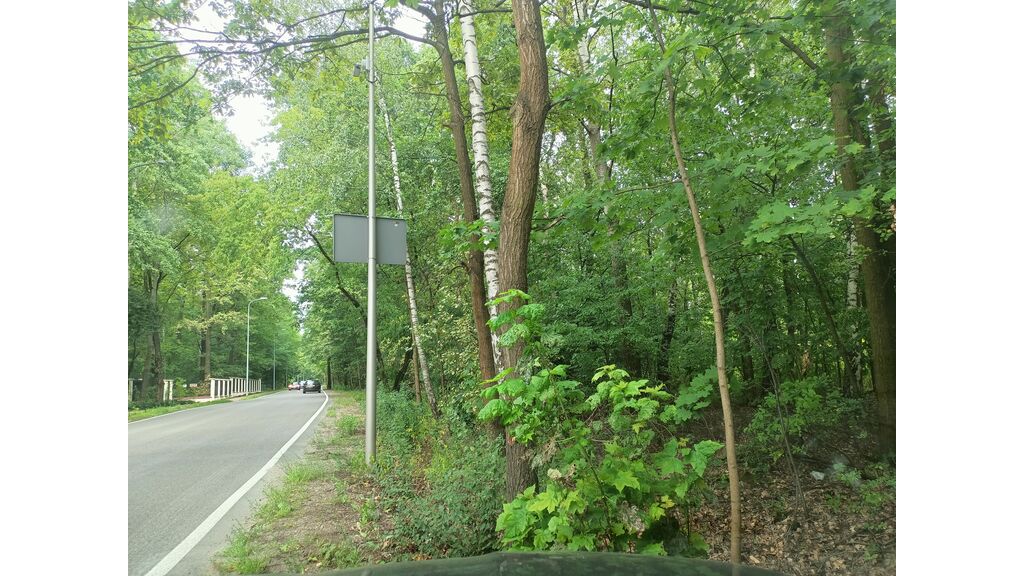 Czy w takim terenie jazda z nadmierną prędkością może doprowadzić do utraty panowania nad pojazdem i uderzenia w przydrożne drzewo ?