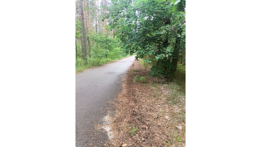 Czy kierujący pojazdem widząc, że zbliża się do odcinka jezdni pokrytej częściowo mokrymi liśćmi powinien zmniejszyć prędkość tak, żeby nie doprowadzić do poślizgu kół ?