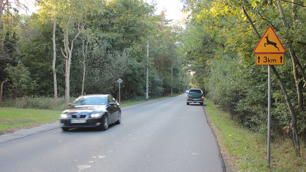 Czego możesz spodziewać się na tak oznakowanej drodze?
