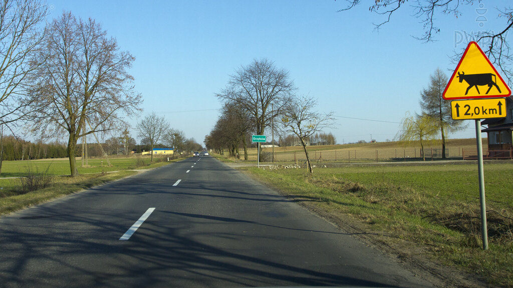 Czy w przedstawionej sytuacji jesteś ostrzegany o możliwości napotkania na drodze zwierząt gospodarskich?